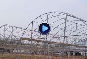 滁州温室连栋大棚视频拍摄